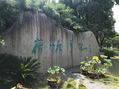 -荷塘月色湿地公园·向阳花洲