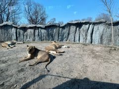 -北京野生动物园