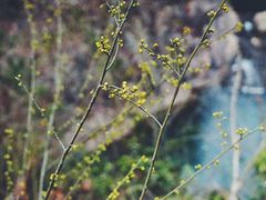 -磐安舞龙峡景区