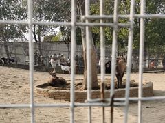 -武汉紫薇都市田园