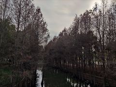 -厦门园林博览苑
