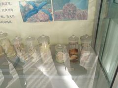 -北京中医药大学-中医药博物馆