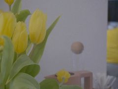 -COTTON CAFE(德信·中外公寓店)