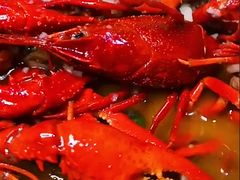 -日食记精菜馆(建邺万达店)
