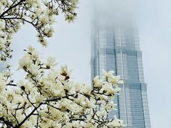 -陆家嘴中心绿地