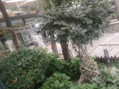 -蘇河湾·新鲁菜·泰山宴(泰山店)