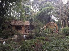 小屋-望江楼公园