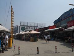 -中环花鸟鱼虫市场