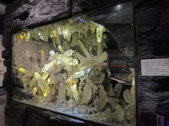 -湖南省地质博物馆