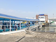 -东平国家森林公园