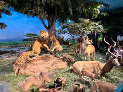 -国家自然博物馆