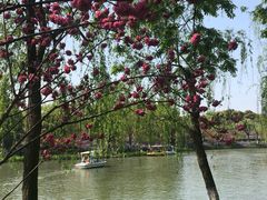 -圩墩遗址公园