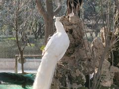 -陕西广播电视塔