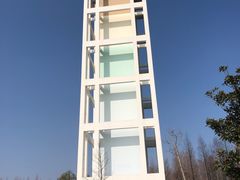 -东平国家森林公园