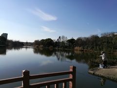 -新江湾城公园