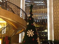 星河湾酒店(浦东店)-上海浦东星河湾酒店