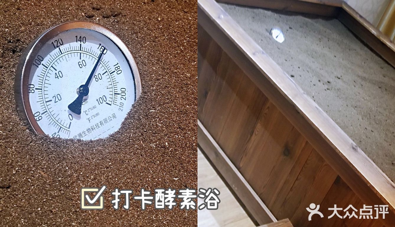 今日份养生鱼