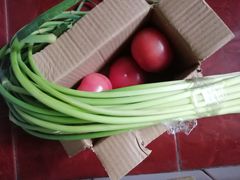 -光明食品集团有限公司