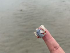 -红树林天天赶海