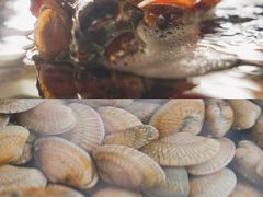 -三亚火车头万人海鲜广场