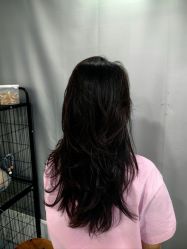 -镁连社·美联社