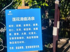 -世界恐龙谷景区