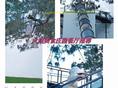 -云禾壹海景庄园餐厅