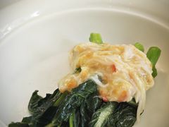 蟹肉扒菜心-伯衡55·吉品轩(乌鲁木齐南路店)