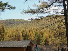 -莫尔道嘎国家森林公园