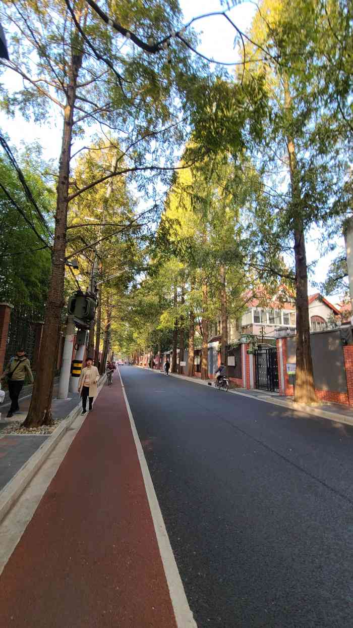 甜爱路-"终于见识到它拉哈哈,开心.晚上逛到这里的."-大众点评移动版