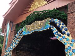 -西双版纳原始森林公园