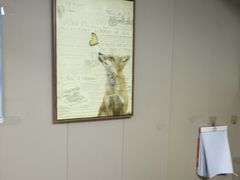 -半岛宠物医院24小时·内窥镜·牙科·碎石中心(府城大道店)