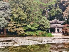 -杭州植物园