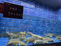 -徐记海鲜·宴会(大唐西市|丰庆店)