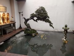 -觀芷隐轩