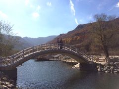 -龙道沟景区