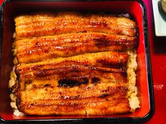 -料亭菊水楼