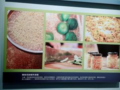 -费孝通江村纪念馆