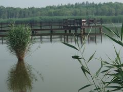 -西青郊野公园