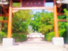 -阳台山自然风景区