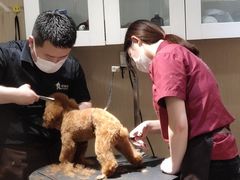-宠物家(双井店)