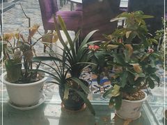 -北京龙庆四季香农家饭庄·灶台鱼·碳烤虹鳟鱼(龙庆峡店)