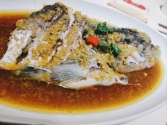 口味有机鱼头-口味堂(机场河店)