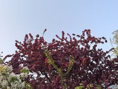 -元大都城垣遗址公园