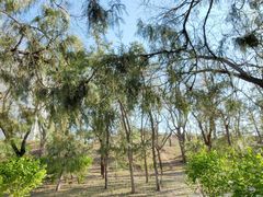 -元大都城垣遗址公园