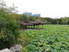 -高子水居