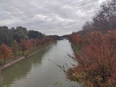 -上海海湾国家森林公园