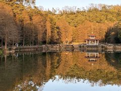 -深圳仙湖植物园