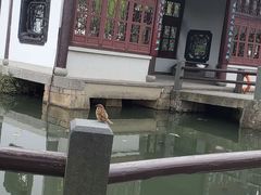 -西湖外事游船(花港观鱼码头)