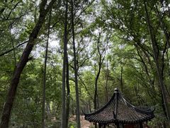 -虞山风景区